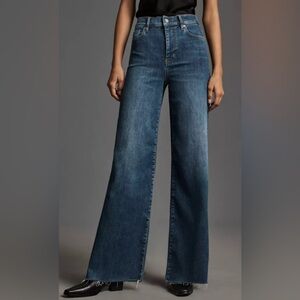 EUC Frame Le Slim Palazzo Wide Leg Jeans
